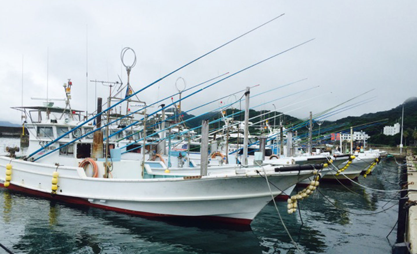 20220221_一本釣りさわら炙り体験