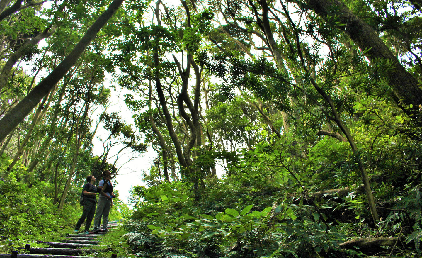 20220221_プライベートツアー