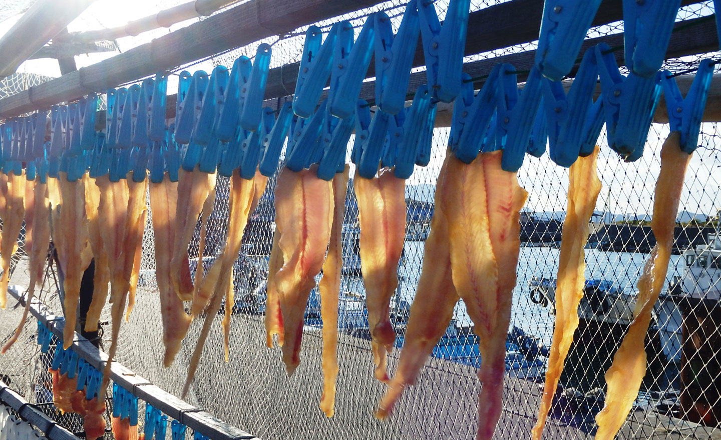 20220221_砂浜ランチ画像差替