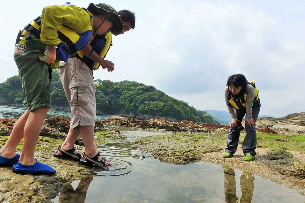 島からのおくりものツアー（釣り体験と磯観察）